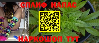 прущие грибы Лесосибирск