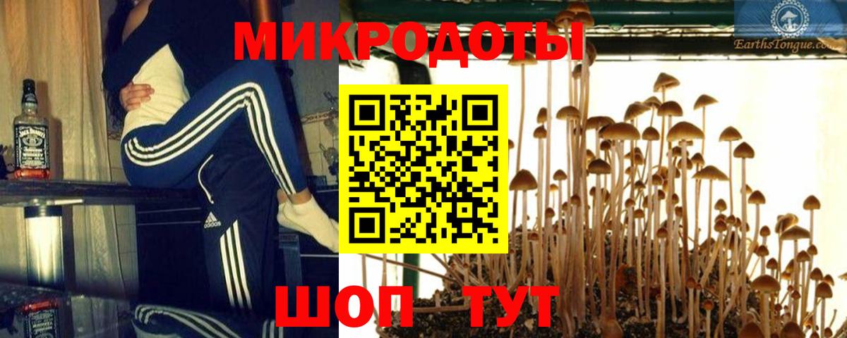 Галлюциногенные грибы Magic Shrooms  Псилоцибиновые грибы ЛСД  Вход с VPN  Янаул 