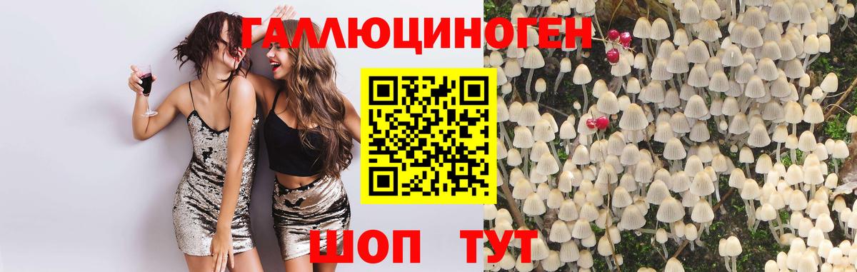 Галлюциногенные грибы прущие грибы Янаул