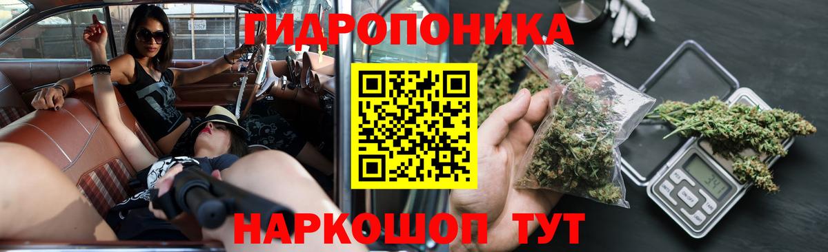 Конопля семена  Канабис OG Kush  Бошки марихуана конопля  Янаул  Вход с VPN 